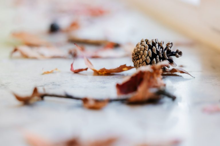 rainbowtrekkers©Martin-Donat-128